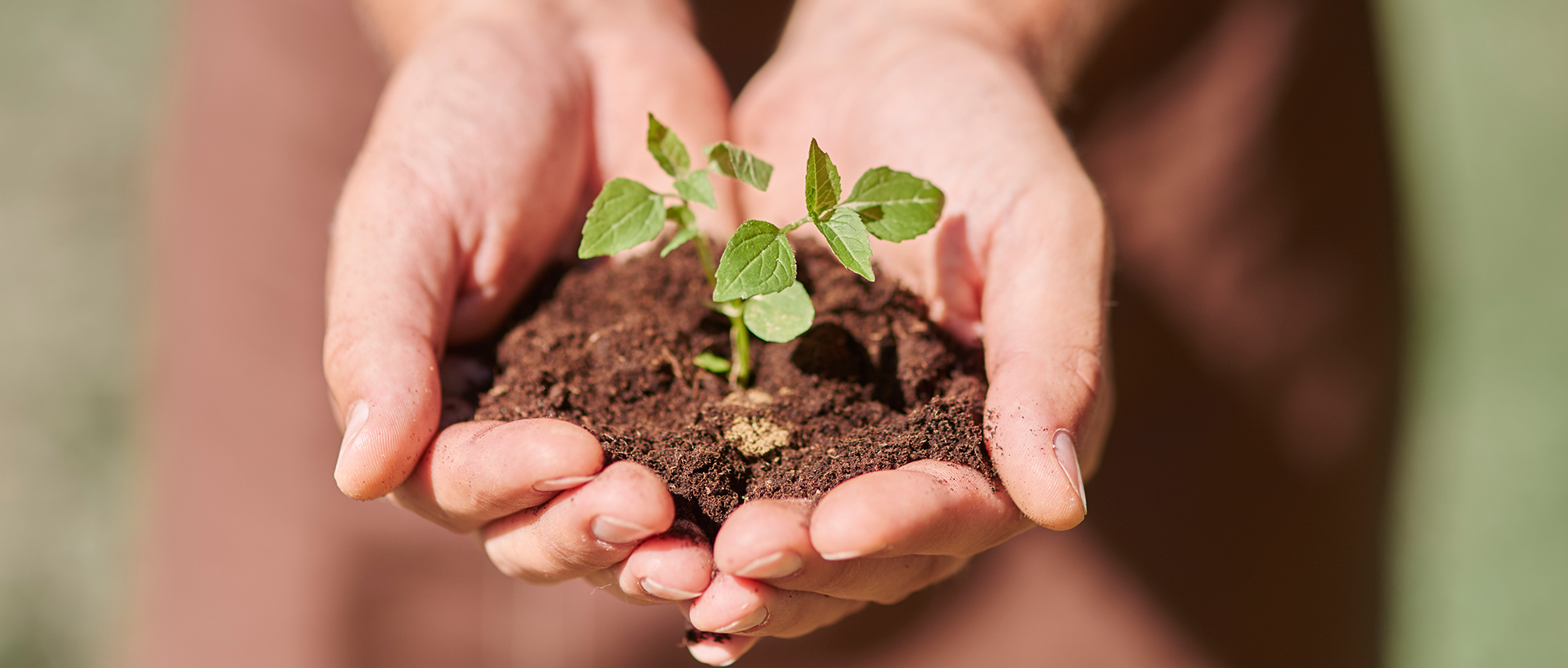 Inovação e proatividade para a sustentabilidade