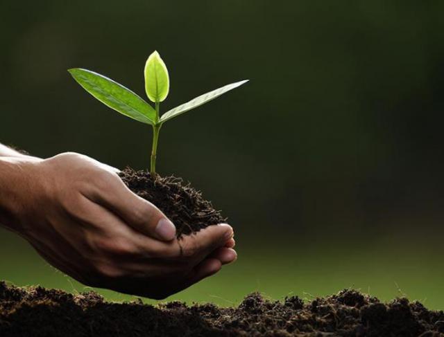 Conheça os benefícios do licenciamento ambiental