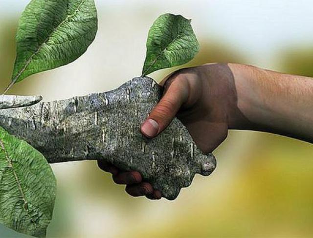 3 dicas para se tornar uma pessoa mais sustentável